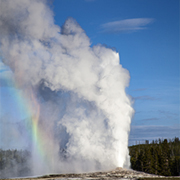 Old Faithful Geyser erupting.