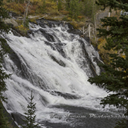 Lewis Falls