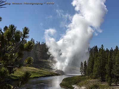 Riverside Geyser erupting and hot water spraying and running into the Firehole River