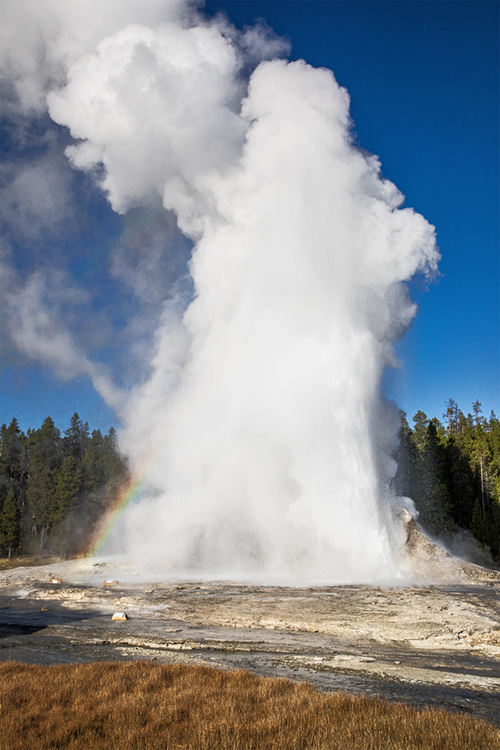 Giant Geyser in eruption.