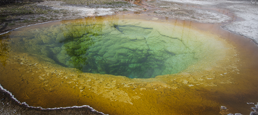 Thermophiles in Morning Glory