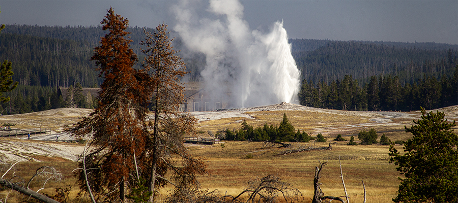 Looking at Old Faithful from Geyser Hill.