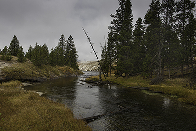 Firehole River at the Old Faithful bridge.